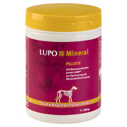 Luposan Mineral Pellets zur Seniorenpflege und Unterstützung von Gelenken und Immunsystem 800 g – Bild 1 von 4