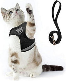 LuxusKollektion Ausbruchsicheres Katzengeschirr mit Leine für Kitten Schwarz – Bild 1 von 4
