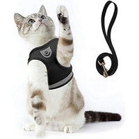 Produktbild von LuxusKollektion Ausbruchsicheres Katzengeschirr mit Leine für Kitten Schwarz