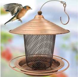 LuxusKollektion Vogelhaus aus Metall zum Aufhängen in Braun und Bronze – Bild 1 von 2