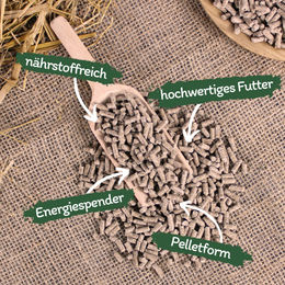 Lyra Horse Multivital Mineralfutter Klassik Pellets für Pferde 10 kg - 10 kg – Bild 1 von 3