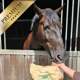 Lyra Horse Senior Mineralfutter für Pferde als Pellets 10 kg - 10 kg – Bild 1 von 5
