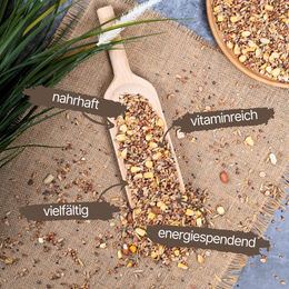 Lyra Pet Alb-Mühle Terrassen-Mix schalenloses Streufutter für Wildvögel 10 kg - 10 kg – Bild 1 von 8