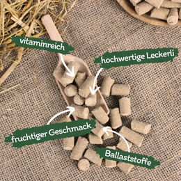Lyra Pet Bananen Leckerli für Pferde 5 kg Trainingssnacks - 5 kg – Bild 1 von 7