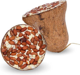 Lyra Pet Energie Boost Futterglocke mit Erdnüssen und Saaten für Wildvögel 8 Stück – Bild 1 von 8