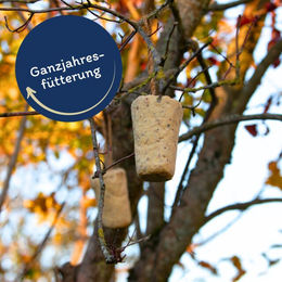 Lyra Pet Energie Boost Nuss Riegel mit Erdnüssen Fettfutter für Wildvögel 3 x 12 Stück - 3 x 12 Stk. – Bild 1 von 8