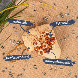 Lyra Pet Energie Boost Nuss Riegel mit Erdnüssen Fettfutter für Wildvögel 8,54 kg – Bild 1 von 8
