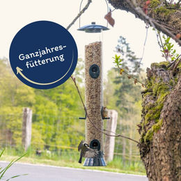 Lyra Pet Erdnusskerne gehackt mit Haut für Wildvögel 25 kg - 25 kg – Bild 1 von 7