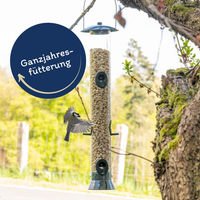 Produktbild von Lyra Pet Erdnusskerne Splits Wildvogelfutter für Vögel und Eichhörnchen 10 kg - 10 kg