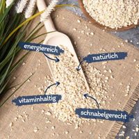 Produktbild von Lyra Pet Erdnusskerne weiß gehackt für Wildvögel und Eichhörnchen 25 kg - 25 kg