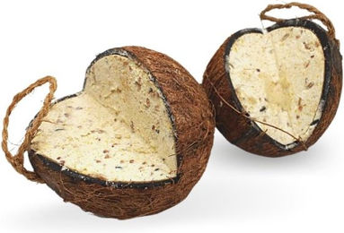 Lyra Pet Gefüllte Kokosnuss mit V-Cut als energiereiches Vogelfutter für Wildvögel 8 Stück - 2 x 4 Stk. – Bild 1 von 9