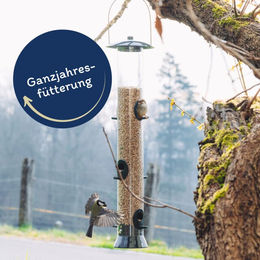 Lyra Pet geschälte Sonnenblumenkerne für Wildvögel 10 kg mit 30 L Tonne - 10 kg – Bild 1 von 7