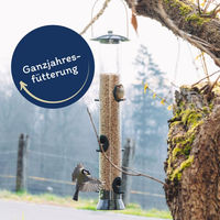 Produktbild von Lyra Pet geschälte Sonnenblumenkerne für Wildvögel 10 kg mit 30 L Tonne - 10 kg