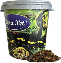 Lyra Pet Getrocknete Heimchen als proteinreiche Nahrungsergänzung für Vögel, Nager, Fische und Reptilien 5 kg - 5 kg – Bild 1 von 9