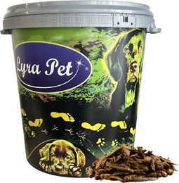 Lyra Pet getrocknete Heuschrecken als Ergänzungsfutter für Vögel, Fische und Reptilien 5 kg - 5 kg – Bild 1 von 9