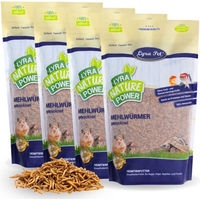 Produktbild von Lyra Pet Getrocknete Mehlwürmer Insektenfutter für Fische 4 kg - 4 kg