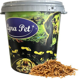 Lyra Pet getrocknete Mehlwürmer Insektenfutter für Fische, Vögel und Nager 5 kg in 30 L Tonne - 5 kg – Bild 1 von 9