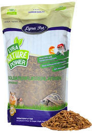 Lyra Pet® Getrocknete Soldatenfliegenlarven Insektenfutter für Fische Vögel Reptilien und Nager 1 kg – Bild 1 von 8