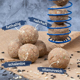 Lyra Pet Gourmet Meisenknödel für Wildvögel schalenfrei 4,25 kg - 50 x 80 g – Bild 1 von 8
