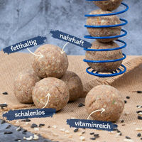 Produktbild von Lyra Pet Gourmet Meisenknödel für Wildvögel schalenfrei 4,25 kg - 50 x 80 g