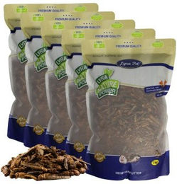 Lyra Pet Heuschrecken getrocknetes Ergänzungsfutter für Vögel, Nager, Fische und Reptilien 5 kg - 5 kg – Bild 1 von 8