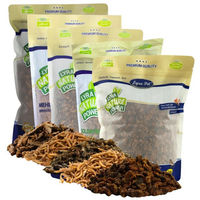 Produktbild von Lyra Pet Insekten Probier Mix getrocknetes Ergänzungsfutter für Fische 5 x 1 kg