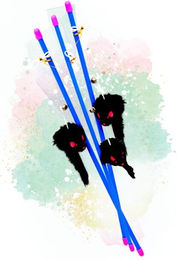 Lyra Pet Katzenangel mit Maus Schwarz Interaktives Plüsch Spielzeug für Katzen 10 Stück – Bild 1 von 5