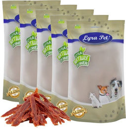 Lyra Pet Kausnack Entenbrust Monoprotein Hund 5 kg - 5 kg – Bild 1 von 8