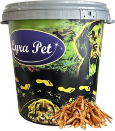 Lyra Pet Kausnack Kleine Fische Sardine Monoprotein 5 kg - 5 kg – Bild 1 von 9
