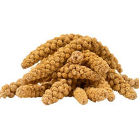 Produktbild von Lyra Pet Kolbenhirse gelb Vogelfutter für Wellensittiche Kanarienvögel und Wildvögel 4 kg - 4 kg