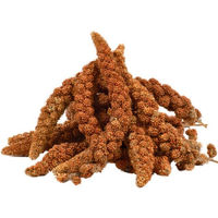 Produktbild von Lyra Pet Kolbenhirse rot Vogelfutter für Kanarienvögel und Wildvögel 4 kg - 4 kg