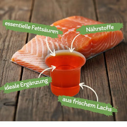 Lyra Pet Lyra Horse 100 % Lachsöl für Pferde 1,5 l zur Unterstützung von Haut, Fell und Stoffwechsel - 3 x 500 ml – Bild 1 von 7