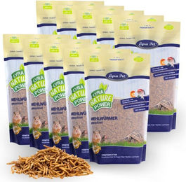 Lyra Pet Mehlwürmer getrocknet Insektenfutter für Fische 10 x 1 kg - 10 x 1 kg – Bild 1 von 7