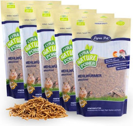 Lyra Pet Mehlwürmer getrocknet Insektenfutter für Fische 5 x 5 kg - 5 x 1 kg – Bild 1 von 8