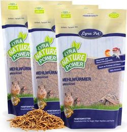 Lyra Pet Mehlwürmer getrocknet Insektenfutter für Fische, Reptilien, Nager und Vögel 3 x 1 kg - 3 x 1 kg – Bild 1 von 8
