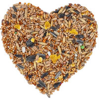 Produktbild von Lyra Pet Nymphensittichfutter und Großsittichfutter ohne tierisches Protein 10 kg