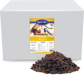 Lyra Pet Premium Rosinen als Vogelfutter für Wildvögel 10 kg - 10 kg – Bild 1 von 7