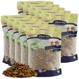 Lyra Pet Protein Boost Insekten Mix Ergänzungsfutter mit Mehlwürmern, Shrimps und Grashüpfern 10 kg - 10 kg – Bild 1 von 8