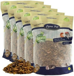 Lyra Pet Protein Boost Insekten Mix Ergänzungsfutter mit Mehlwürmern, Shrimps und Grashüpfern 5 kg - 5 kg – Bild 1 von 8