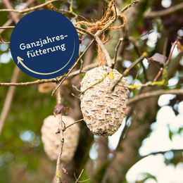 Lyra Pet Riesenzapfen Fettfutter für Wildvögel 12 Stück - 3 x 4 Stk. – Bild 1 von 6