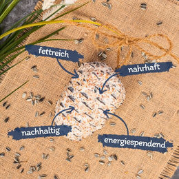Lyra Pet Riesenzapfen Fettfutter für Wildvögel 8 Stück - 2 x 4 Stk. – Bild 1 von 7