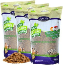 Lyra Pet Soldatenfliegenlarven getrocknet 15 kg Insektenfutter für Vögel, Fische, Nager und Reptilien - 15 kg – Bild 1 von 9