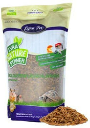 Lyra Pet Soldatenfliegenlarven Insektenfutter für Wildvögel 5 kg - 5 kg – Bild 1 von 13