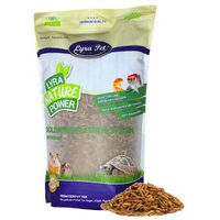 Produktbild von Lyra Pet Soldatenfliegenlarven Insektenfutter für Wildvögel 5 kg - 5 kg
