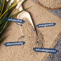Produktbild von Lyra Pet Sonnenblumenkerne geschält Bruch für Wildvögel 25 kg - 25 kg