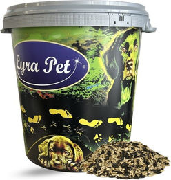 Lyra Pet Sonnenblumenkerne Mix für Wildvögel und Eichhörnchen 10 kg – Bild 1 von 5