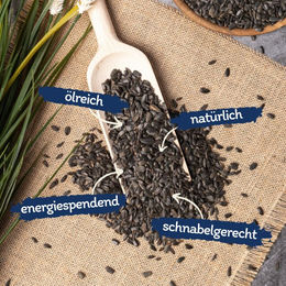 Lyra Pet Sonnenblumenkerne schwarz Vogelfutter für Wildvögel 10 kg - 10 kg – Bild 1 von 12