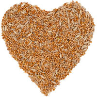 Produktbild von Lyra Pet Wellensittichfutter Hauptfutter ohne tierisches Protein 10 kg