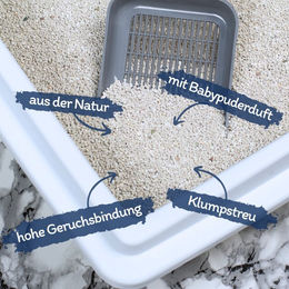 Lyra Pet White Cat Katzenstreu Bentonit mit Babypuderduft klumpend 2 x 15 Liter - 2 x 15 l – Bild 1 von 13