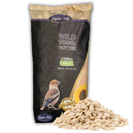 Lyra Pet Wildvogelfutter Erdnusskerne Splits 10 kg – Bild 1 von 7